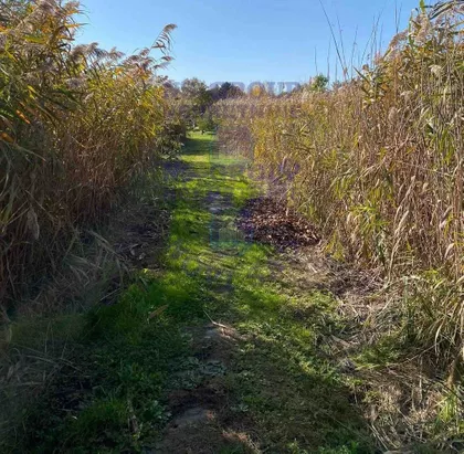 Bačko Gradište | 4zida.rs