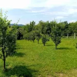 Plac | 4zida
