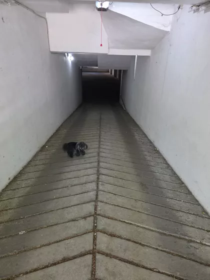 Slovačka | 4zida.rs