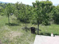 Donje Vlase, Okolne lokacije, Niš | 4zida.rs