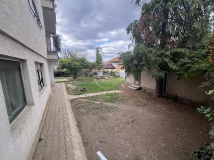 Sremska Kamenica | 4zida.rs