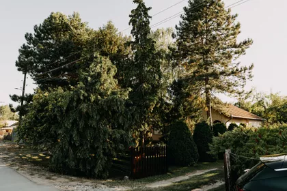 Željezničko Naselje | 4zida.rs