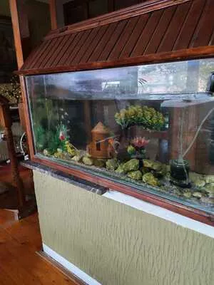 Opština Zrenjanin, Melenci | 4zida.rs