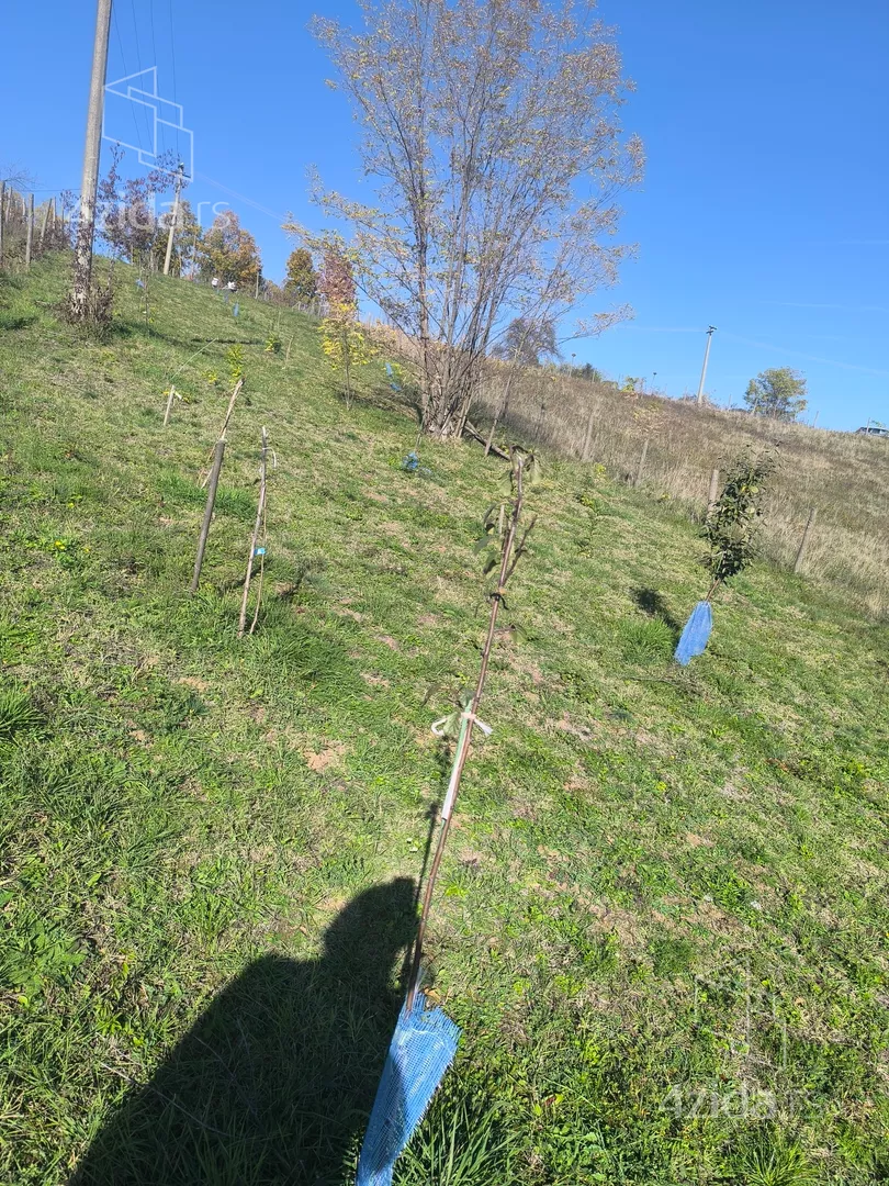 Poljoprivredno zemljište | 4zida