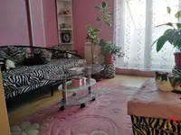 Kać, Okolne lokacije, Novi Sad | 4zida.rs | 4zida.rs