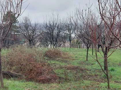 Banoštor | 4zida.rs