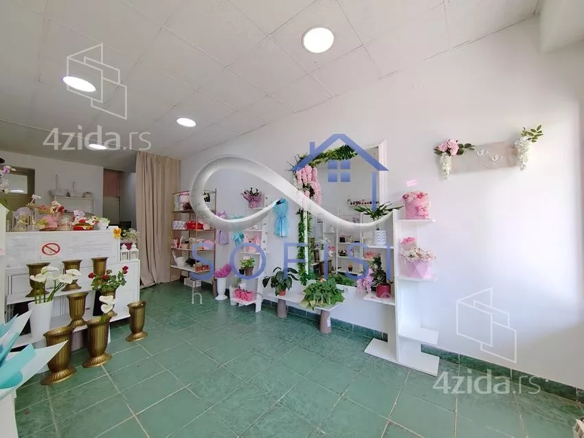 Lokal | 4zida