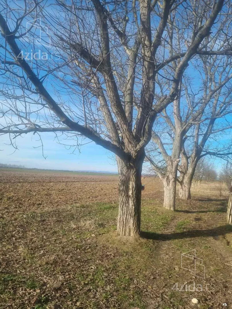 Poljoprivredno zemljište | 4zida