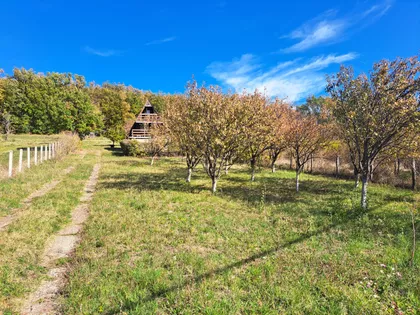 Kosmajski Put | 4zida.rs