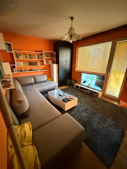 Dragoslava Srejovića | 4zida.rs