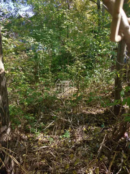 Niška Banja | 4zida.rs