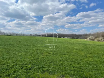 Gradske lokacije | 4zida.rs