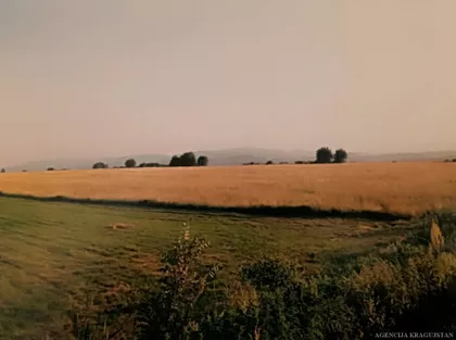 Vučkovica | 4zida.rs