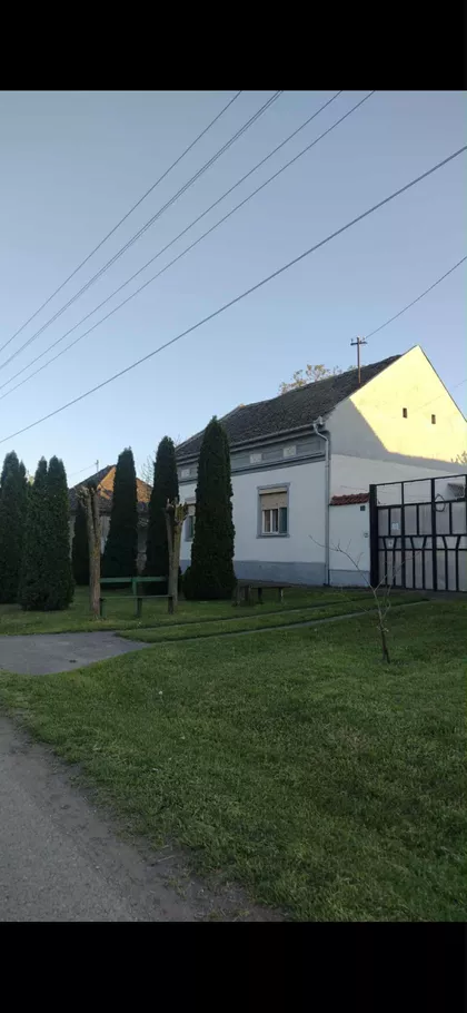 Dalmatinska | 4zida.rs