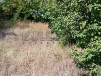 Palilula, Gradske lokacije, Niš | 4zida.rs