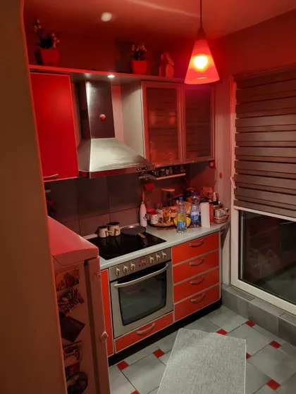 Darvinova pošta | 4zida.rs