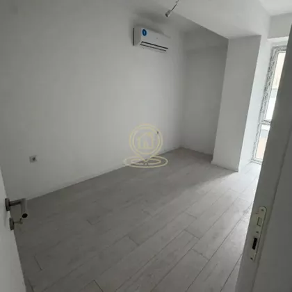 Šojka | 4zida.rs