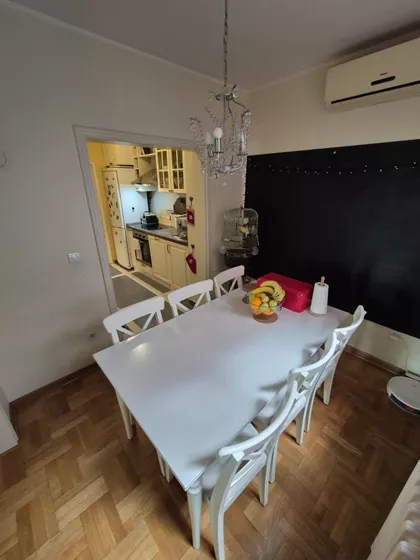 Ulofa Palmea | 4zida.rs