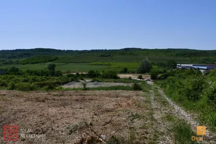 Rizopek | 4zida.rs