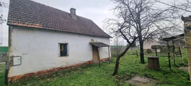 Novi Žednik