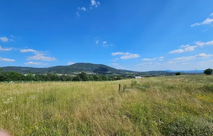 Despota Stevana Lazarevića | 4zida.rs