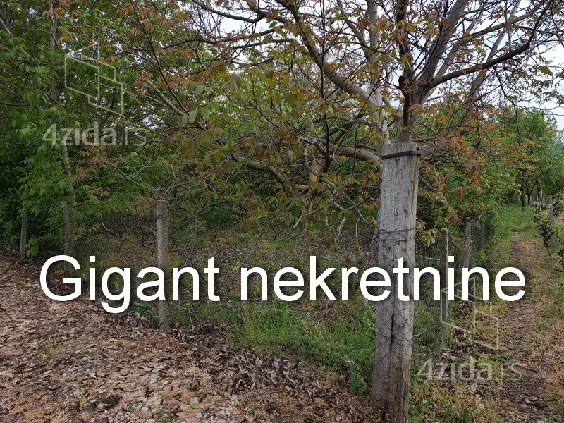 Plac | 4zida