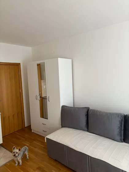 Vuka Karadžića | 4zida.rs