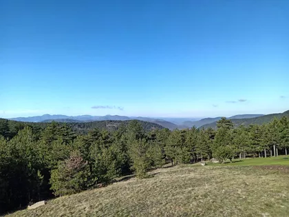 Belog Narcisa 7 | 4zida.rs