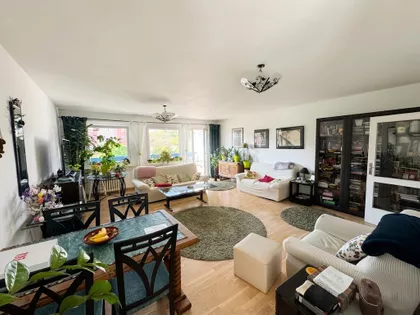 Dr Ivana Ribara | 4zida.rs