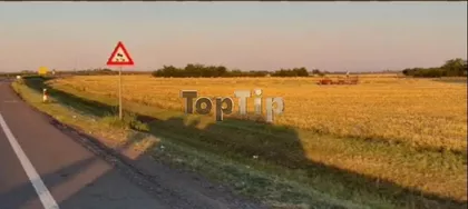 Bikovački put | 4zida.rs