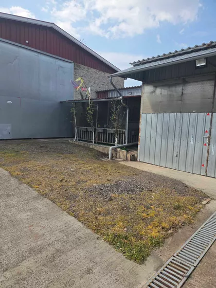 Svetozar Miletić | 4zida.rs