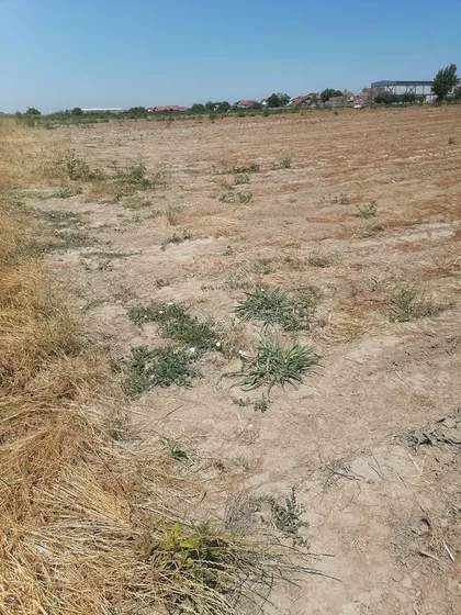 Đure Đakovića | 4zida.rs