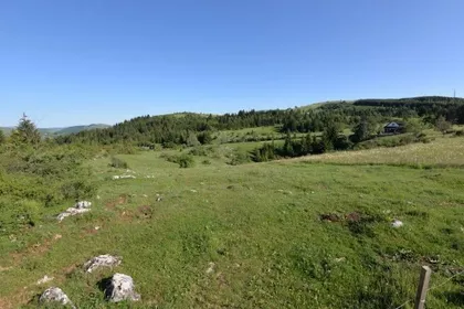 Komarani | 4zida.rs
