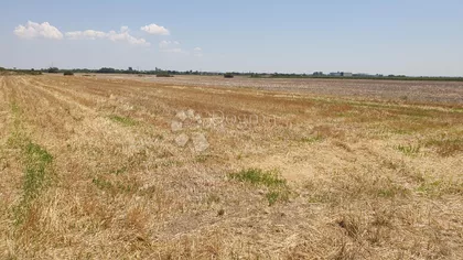 Grmovačka | 4zida.rs