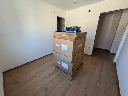 Kolonija | 4zida.rs