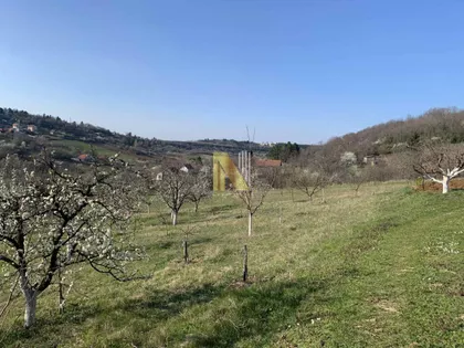Sremska Kamenica | 4zida.rs