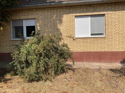 Čonoplja | 4zida.rs