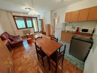 Novo Naselje, Gradske lokacije, Novi Sad | 4zida.rs