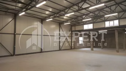 Ivana Milutinovića | 4zida.rs