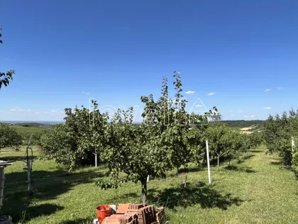 Banstol - Vikend Naselje | 4zida.rs