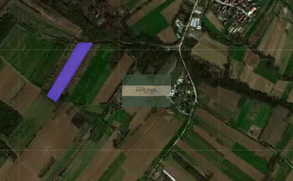 Vinorača | 4zida.rs
