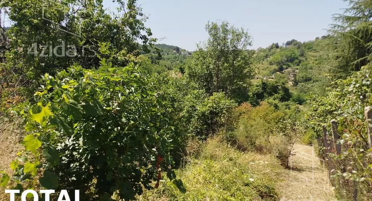Plac | 4zida