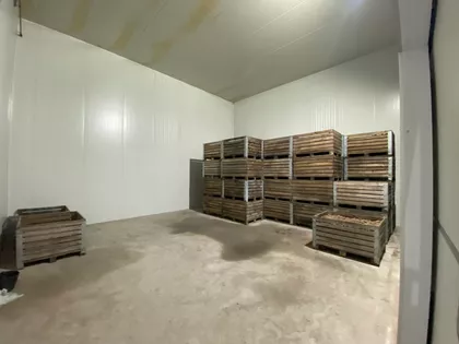 Segedinski Put | 4zida.rs