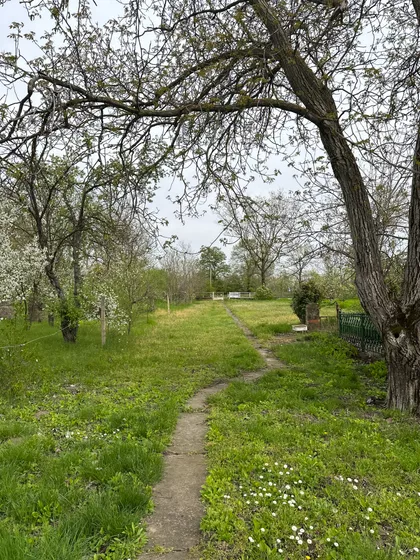 Beogradski Put 163 | 4zida.rs