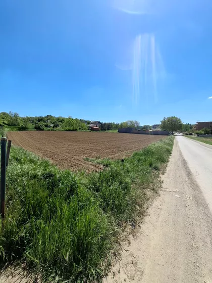 Tihomira Arsića | 4zida.rs