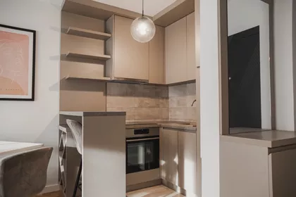 Lajoša Joa 46 | 4zida.rs