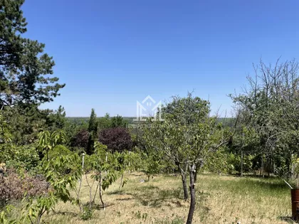 Tekije | 4zida.rs