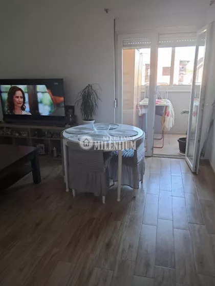 Marka Šagala | 4zida.rs