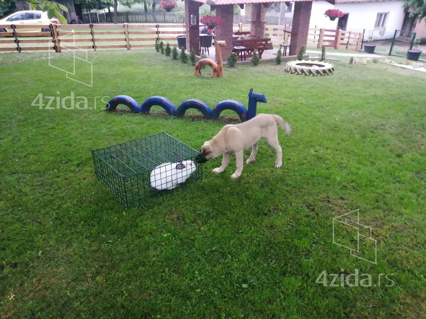 Garsonjera | 4zida