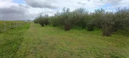 Senćanski Put | 4zida.rs